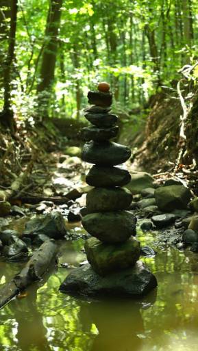 11695977_10155850715275710_5604124462711865948_n