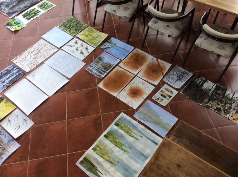 13592236_10153848771532476_8425853629338130940_n