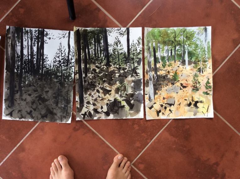 13619916_10153848779657476_7837518217156734695_n