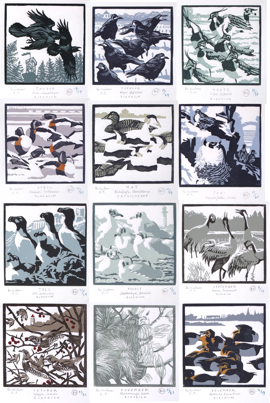 bird of the month - all twelve