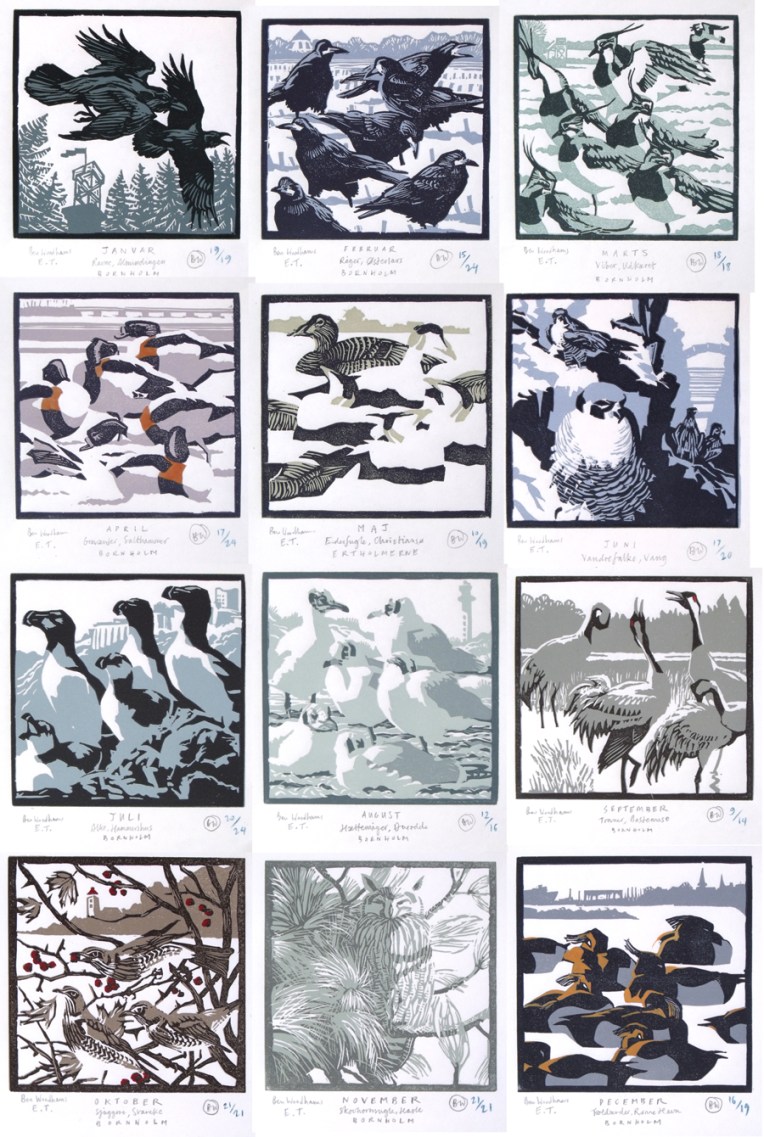 bird of the month - all twelve